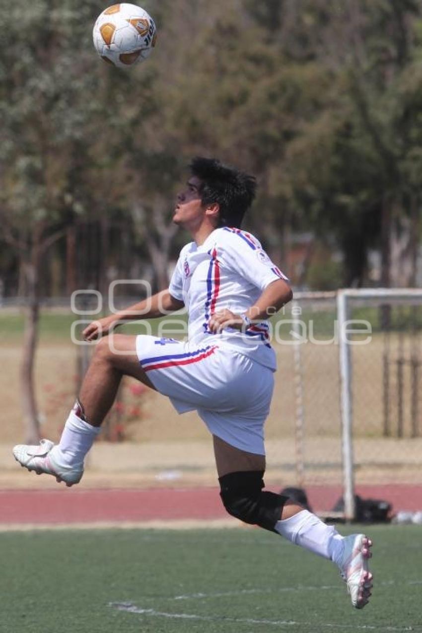 COPA IBERIA 75 AÑOS. IBERIA VS BENAVENTE