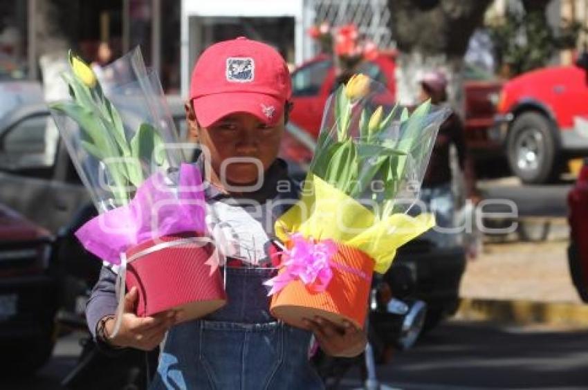 14 DE FEBRERO. DÍA DEL AMOR Y LA AMISTAD