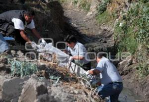 MUERTE HOMBRE EN UNA ZANJA