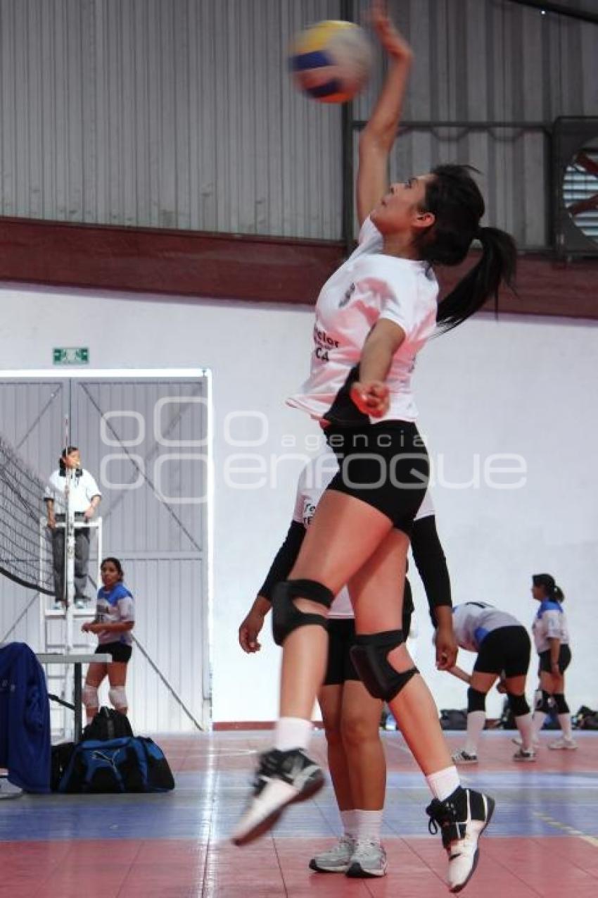 TORNEO MUNICIPAL DE VOLEIBOL