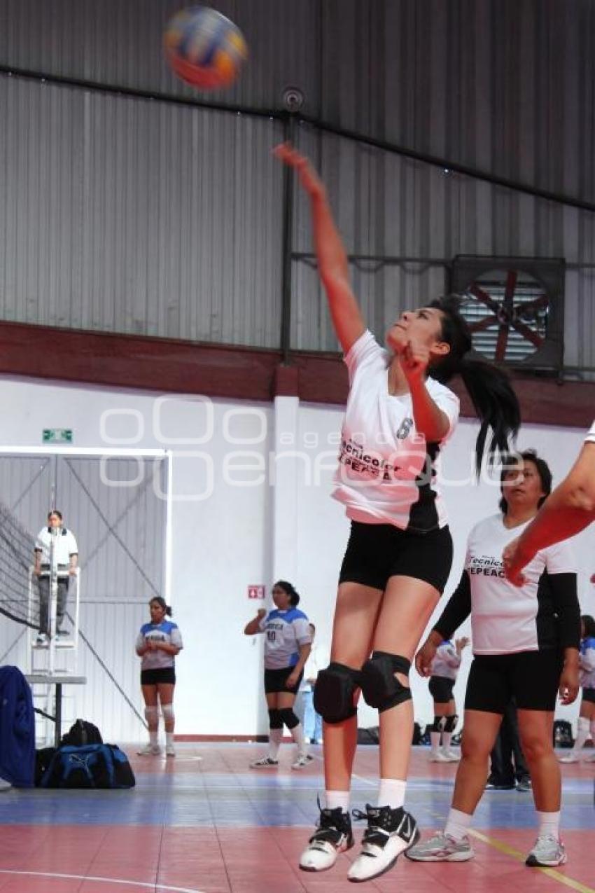 TORNEO MUNICIPAL DE VOLEIBOL