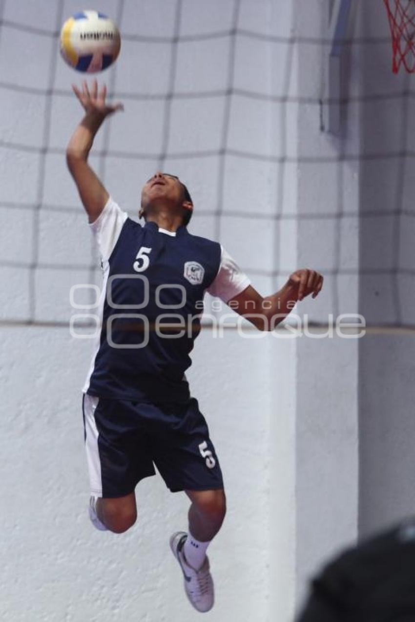 TORNEO MUNICIPAL DE VOLEIBOL