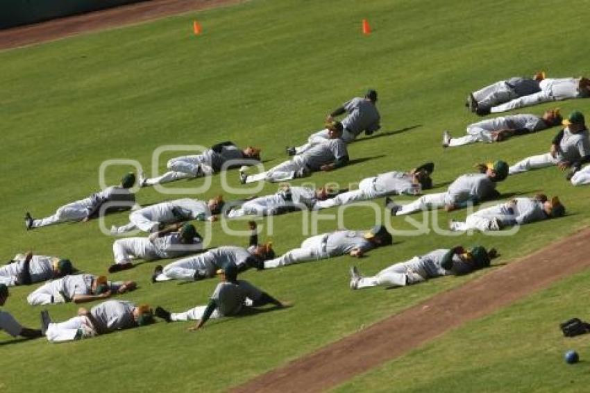 ENTRENAMIENTO PERICOS DE PUEBLA