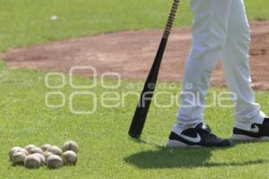 BEISBOL . PERICOS DE PUEBLA