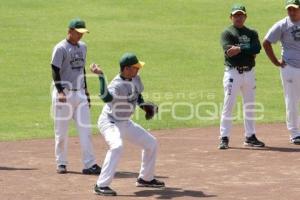 BEISBOL . PERICOS DE PUEBLA