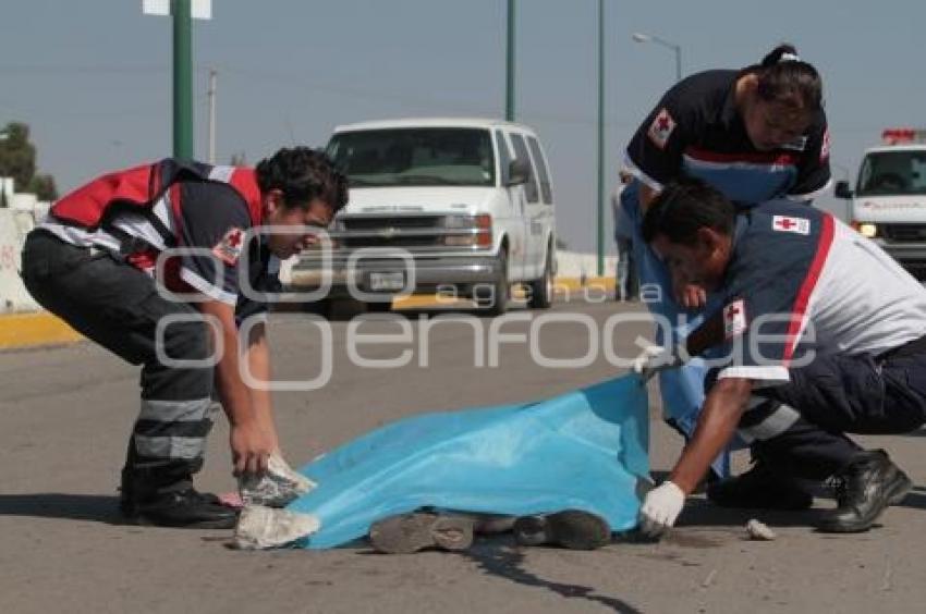 MUERE MUJER ARROLLADA EN PERIFERICO