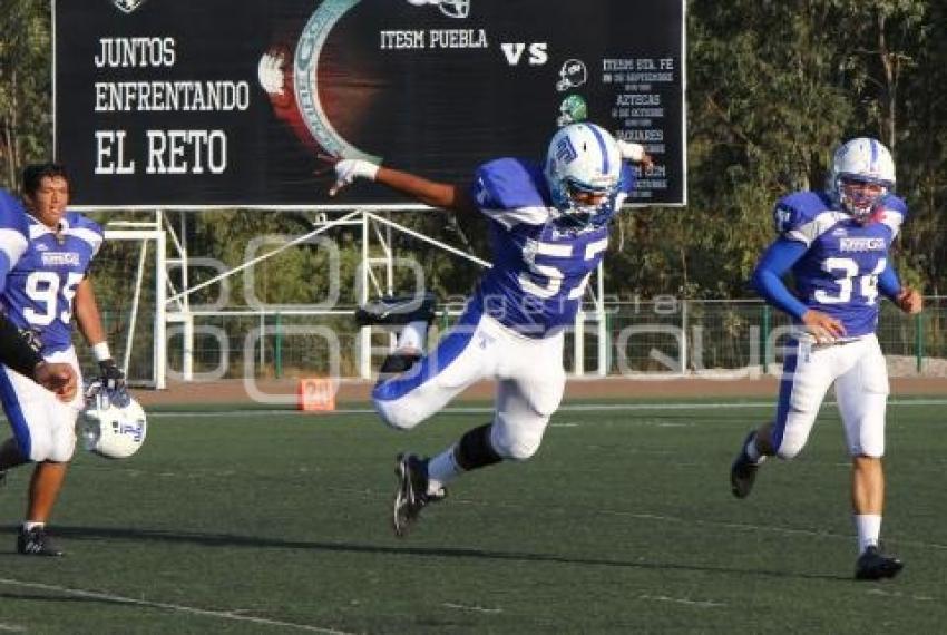 BORREGOS VS SHARKS. FUTBOL AMERICANO