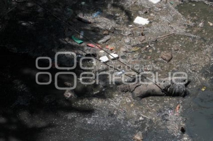 ENCUENTRAN CUERPO SIN VIDA EN EL FONDO DE UNA BARRANCA