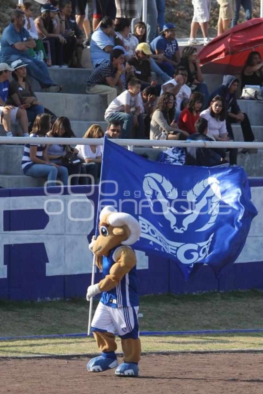 BORREGOS VS SHARKS. FUTBOL AMERICANO