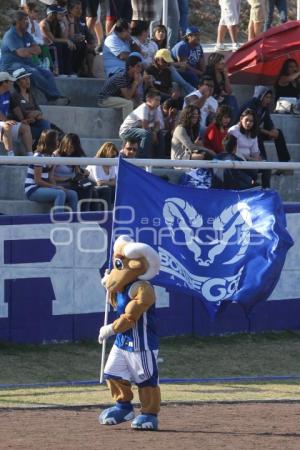 BORREGOS VS SHARKS. FUTBOL AMERICANO