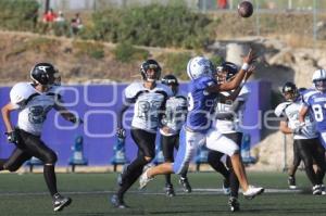 BORREGOS VS SHARKS. FUTBOL AMERICANO