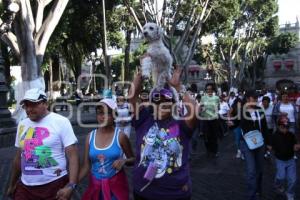 CAMINATA NACIONAL POR LA SALUD