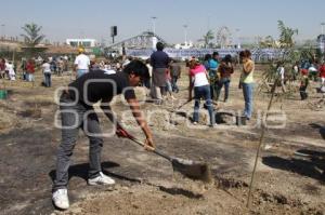 REFORESTACIÓN PARQUE METROPOLITANO