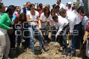 REFORESTACIÓN PARQUE METROPOLITANO