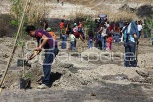 REFORESTACIÓN PARQUE METROPOLITANO