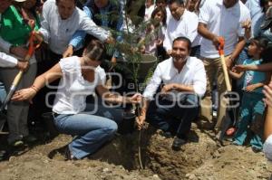 REFORESTACIÓN PARQUE METROPOLITANO