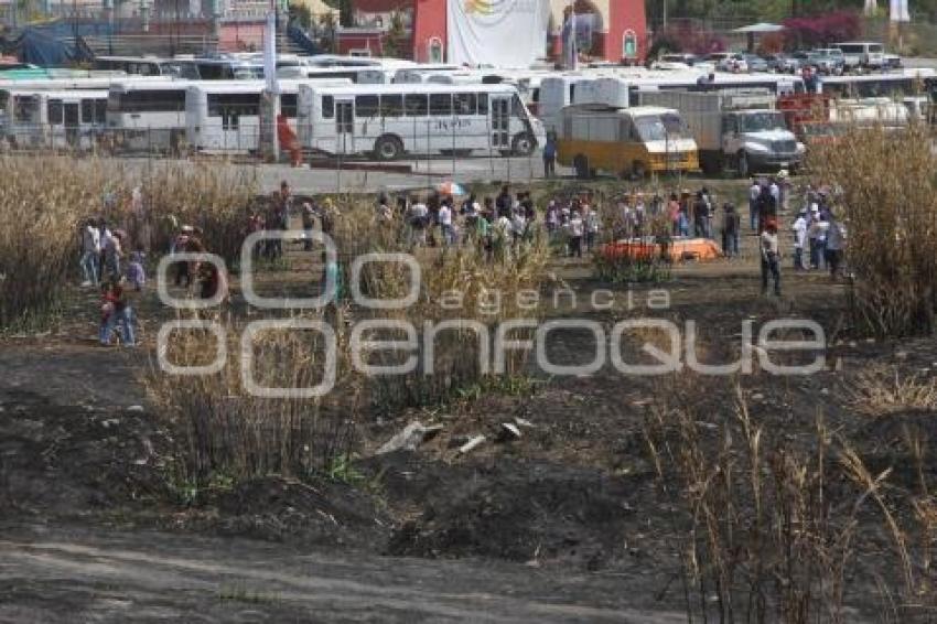 REFORESTACIÓN PARQUE METROPOLITANO