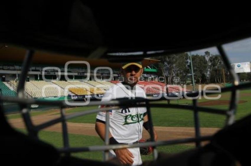 BEISBOL . PERICOS DE PUEBLA