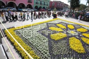 FERIA DE LAS FLORES  - ATLIXCO