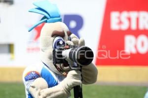 PUEBLA VS NECAXA - MASCOTA - FUTBOL