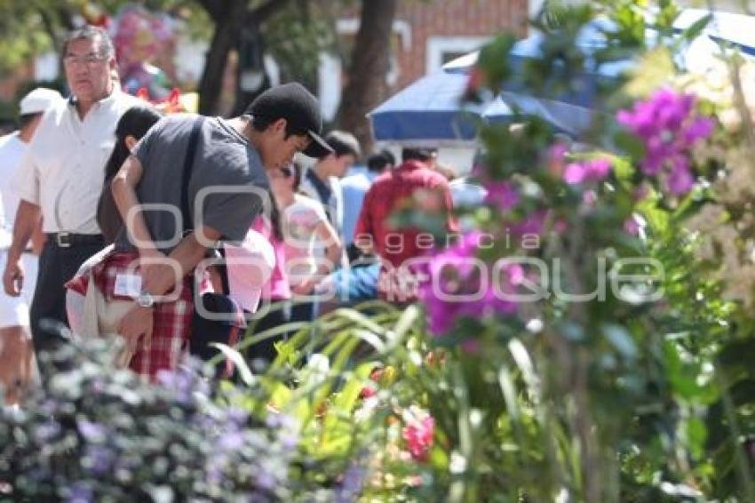 FERIA DE LAS FLORES - ATLIXCO