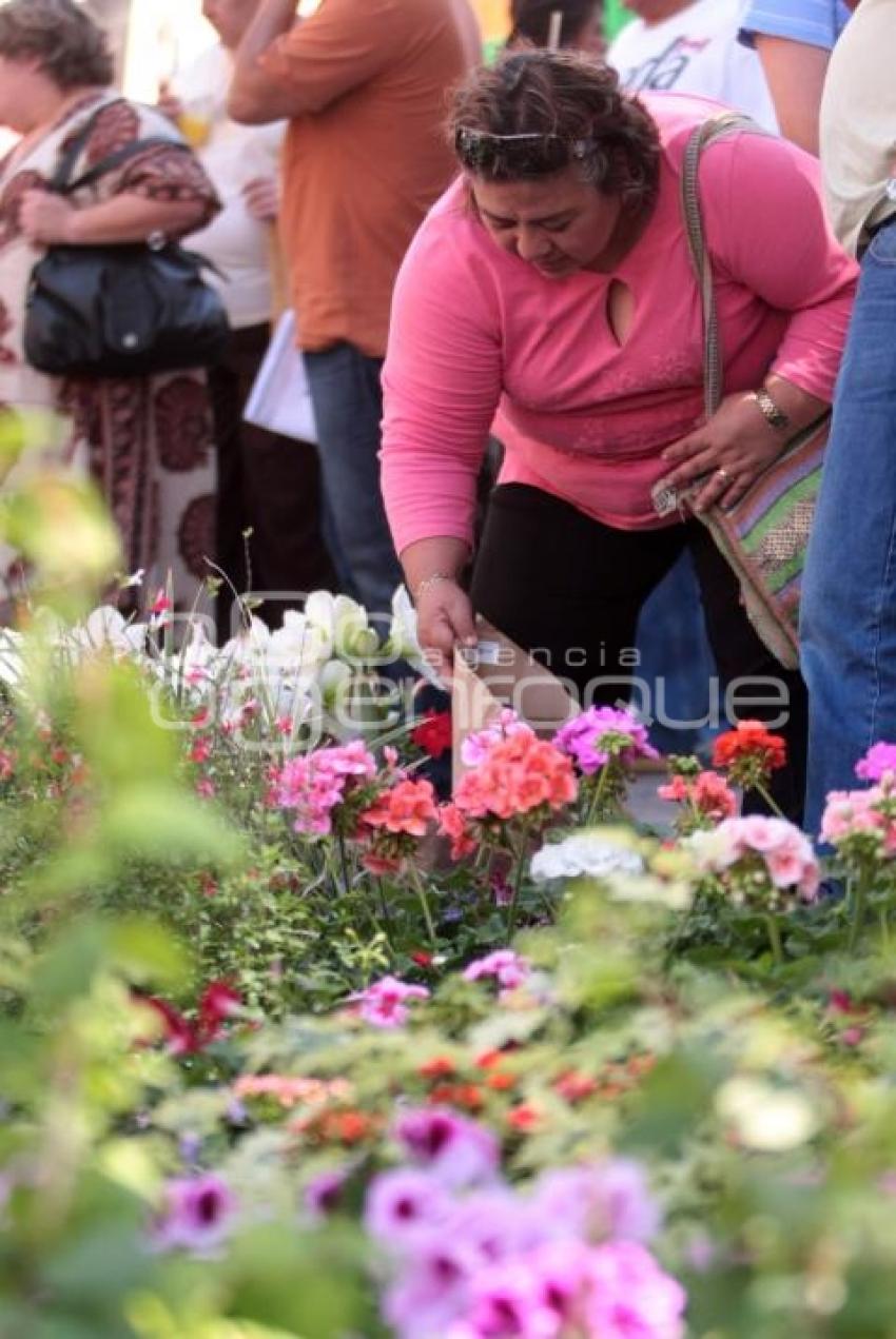 FERIA DE LAS FLORES  - ATLIXCO