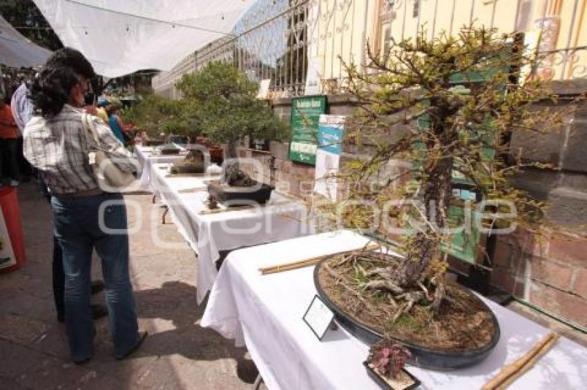 FERIA DE LAS FLORES - ATLIXCO