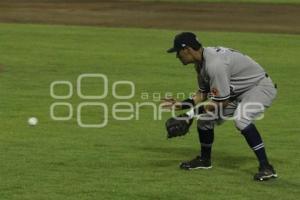 BEISBOL . PERICOS VS SULTANES