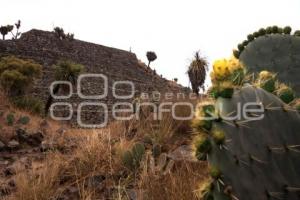 CANTONA - TURISMO -  ZONA ARQUEOLÓGICA