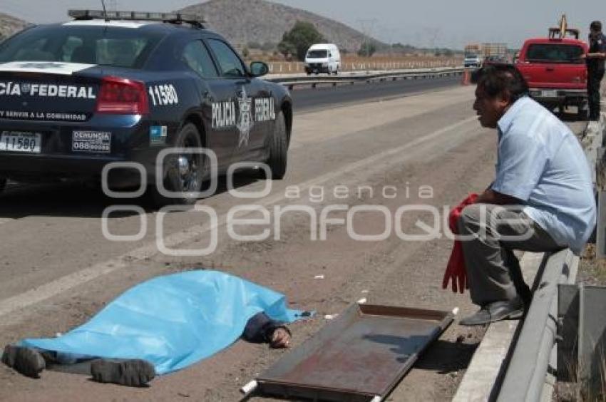 MUERE HOMBRE ARROLLADO EN LA AUTOPISTA