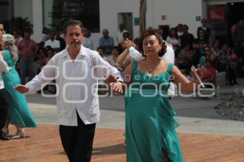 DEMOSTRACION DE DANZON