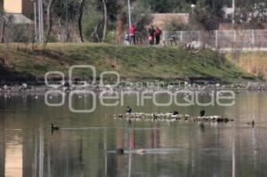 LAGUNA DE CHAPULCO . SEQUÍA