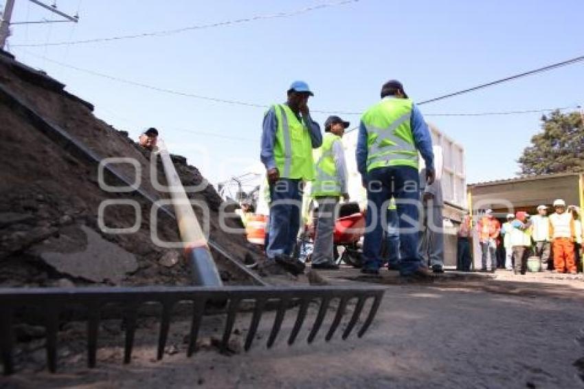 PROGRAMA CAZA BACHES