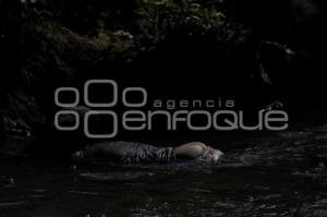 ENCUENTRAN CADAVER DE UN HOMBRE ENTRE LAS AGUAS NEGRAS DEL RIO