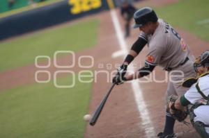 PERICOS VS MONTERREY. BÉISBOL