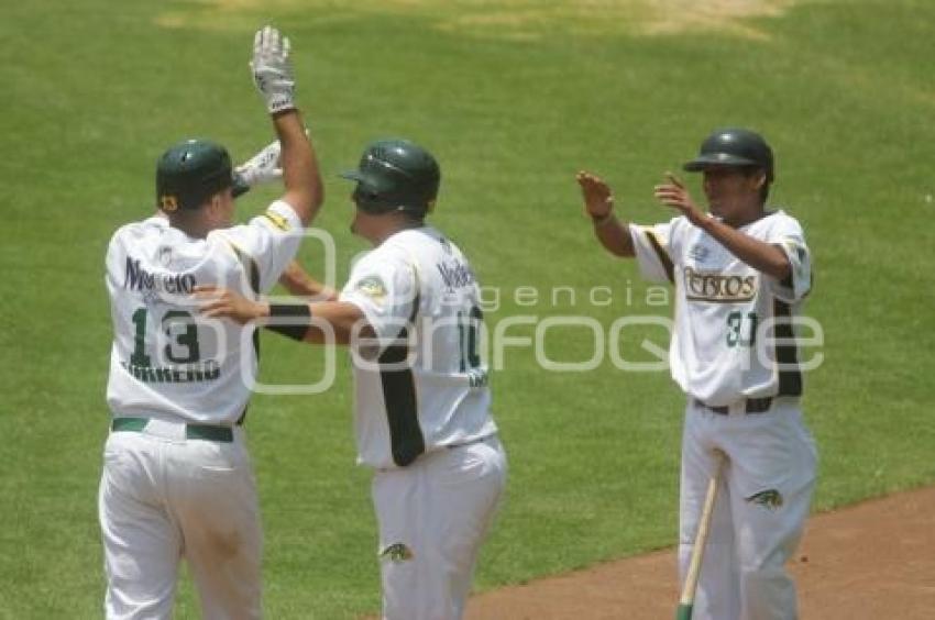 BEISBOL . PERICOS VS SULTANES