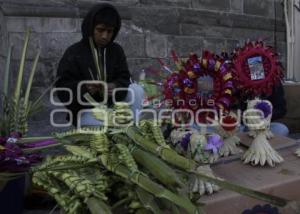 DOMINGO DE RAMOS VENTA DE PALMAS