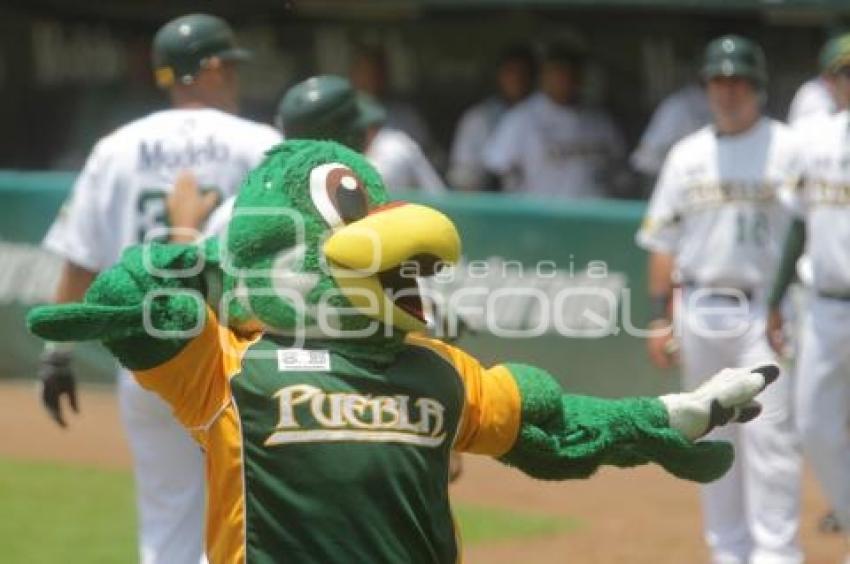 BEISBOL . PERICOS VS SULTANES