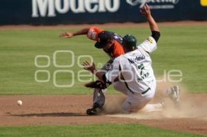 PERICOS VS TIGRES - BEISBOL