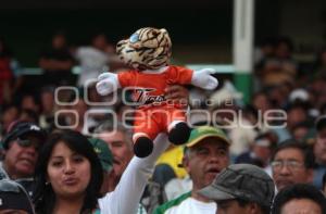 AFICION - BEISBOL