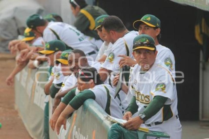 PERICOS VS TIGRES