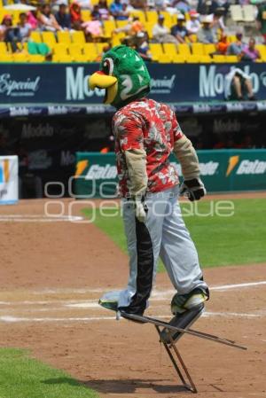 PERICOS VS TIGRES . BEISBOL