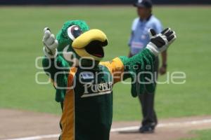 PERICOS VS TIGRES . BEISBOL