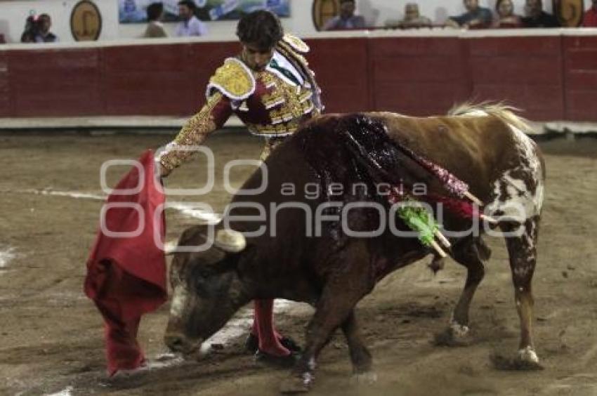 TOROS - FEDERICO PIZARRO