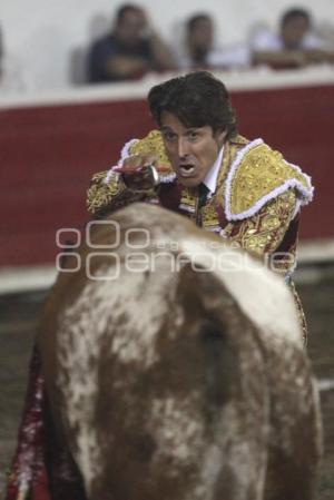 TOROS - FEDERICO PIZARRO