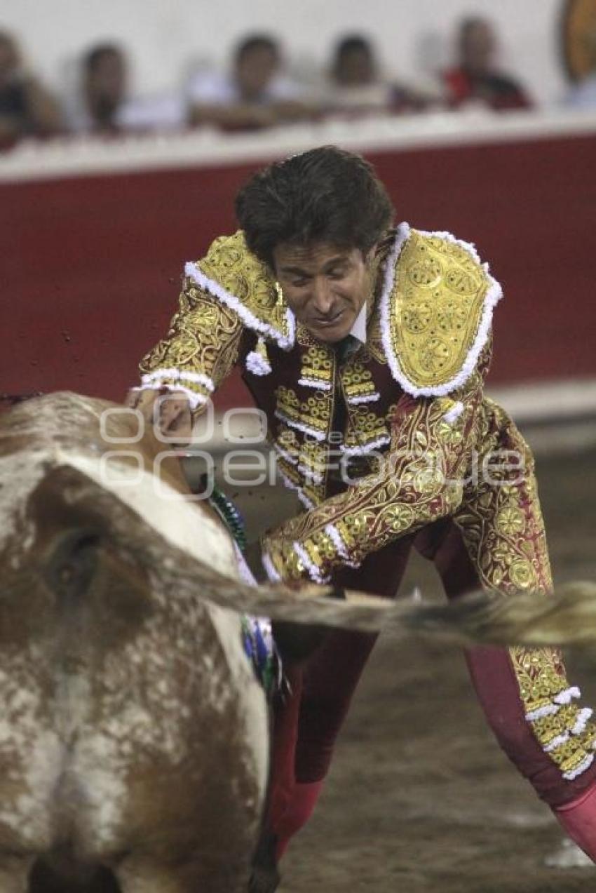 TOROS - FEDERICO PIZARRO