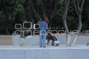 PREPARATIVOS . 5 DE MAYO
