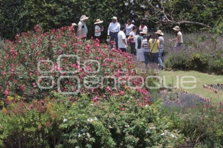 DÍA NACIONAL DE LOS JARDINES BOTÁNICOS