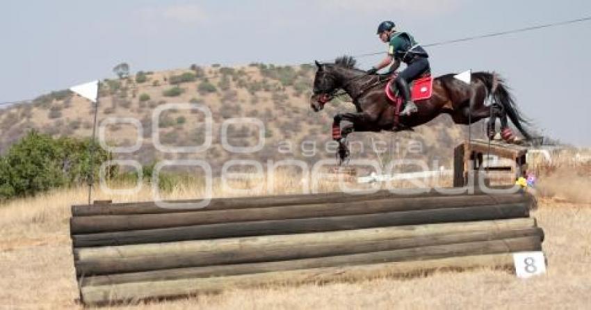 PRUEBAS CAMPO TRAVIESA - LAS HARAS