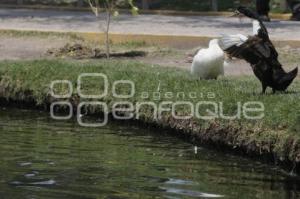 PARQUE ECOLOGICO